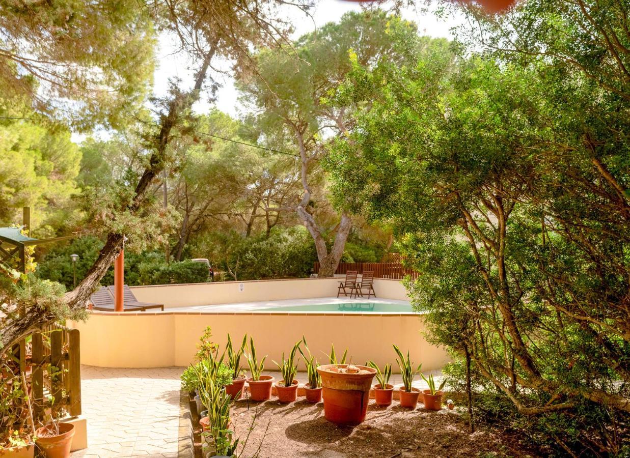 Apartamentos El Pino - Formentera Break Es Calo  Eksteriør billede